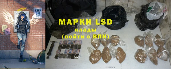 СК Елабуга