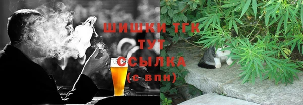 СК Елабуга